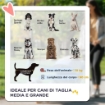 PASSEGGINO PER CANI PIEGHEVOLE CON INGRESSI A CERNIERA E FINESTRE A RETE 112X65X100 CM GRIGIO SCURO E NERO