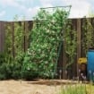 SUPPORTO PER POMODORI A FORMA DI A A LIVELLI REGOLABILI CON RETE IN ACCIAIO PE E PP 101X133X227 CM VERDE