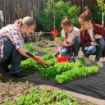 TELO PER PACCIAMATURA 100X2 M TRASPIRANTE E ANTI-UV IN POLIPROPILENE NERO