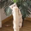 TIRAGRAFFI PER GATTI CON PALO IN SISAL ALTO 60 CM E BASE IN TRUCIOLATO BEIGE