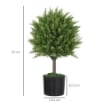 PIANTA FINTA ALBERO CEDRO CON VASO INCLUSO PER INTERNO ED ESTERNO ALTEZZA 55 CM VERDE