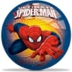 PALLONE PER BAMBINI GIOCO PER ESTERNO CON DISEGNO MARVEL SPIDERMAN E SCRITTE 14 CM 