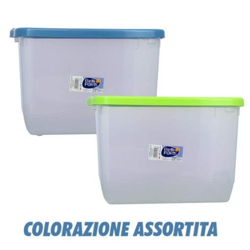 BOX GAIA GRIGIO CON TAPPO COLORATO 40X30X25 CM CONTENITORE MULTIUSO COLORE ASSORTITO 