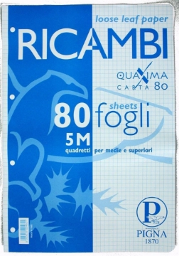 RICAMBI QUAXIMA CARTA A4 5 MM 80 FOGLI