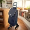 MA MAISON CARRELLO PER LA SPESA MODELLO CIAO DA 25 LITRI CON RUOTE E MANICO ERGONOMICO COLORI ASSORTITI 36X27X96H CM 