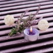 TEA LIGHT IN SET DA 10 PEZZI ALLA LAVANDA