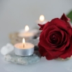 TEA LIGHT IN SET DA 10 PEZZI ALLA VANIGLIA