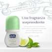 NEUTRO ROBERTS DEODORANTE ROLL-ON FRESCO TE' VERDE E LIME CON PURO OLIO DI GLICERINA E ZERO MACCHIE 50 ML - 48 H