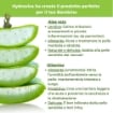 HYDRA VIVA 330 SALVIETTINE UMIDIFICATE ALOE DELICATE NEONATI E BAMBINI - SALVIETTE,CAMBIO PANNOLINO (3 CONFEZIONI DA 110 PZ)