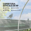 COPERTURA PER SERRA 6X10 M DI RICAMBIO TELO PER SERRE A TUNNEL IN PP ANTI UV E IMPERMEABILE TRASPARENTE