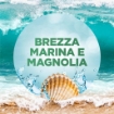 AIR WICK DEODORANTE AMBIENTE ELETTRICO COMPLETO BREZZA MARINA E MAGNOLIA FORMATO DA 228ML 