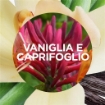 AIR WICK SET DA 4 PZ DEODORANTE ACTIVE FRESH 228 ML RICARICA VANIGLIA E CAPRIFOGLIO 