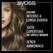 PALETTE SYOSS - OLEO INTENSE TINTA CAPELLI COLORAZIONE PERMANENTE 100% ZENZA AMMONIACA COPERTURA CAPELLI BIANCHI 6.54 CASTANO CHIARO CENERE OKX