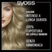 PALETTE SYOSS - OLEO INTENSE TINTA CAPELLI COLORAZIONE PERMANENTE 100% ZENZA AMMONIACA COPERTURA CAPELLI BIANCHI 8.05 BIONDO BEIGE OKX