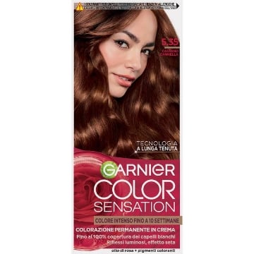GARNIER TINTA COLOR SENSATION A LUNGA TENUTA COPERTURA DEI CAPELLI BINACHI 100% N.5.35 CASTANO CANNELLA OKX