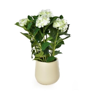 FIORE ORTENSIA ARTIFICIALE  COLORE BIANCO DA ARREDO IN POLIESTERE EFFETTO REAL TOUCH CON VASO IN PLASTICA  -  Ø 22 X H.64 CM OKX