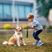 CORDA FLUO INTRECCIO 34 CM GIOCO IDEALE PER IL TUO CANE  