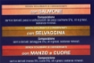 MIGLIOR GATTO MULTIPACK SALMONE, SELVAGGINA, MANZO E CUORE 6X100G - ASSORTITO