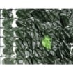 SIEPE EVERGREEN BRIXO LAURO 1X20MT