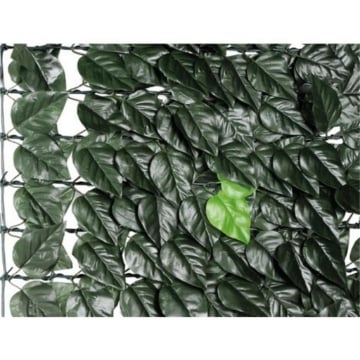 SIEPE EVERGREEN BRIXO LAURO 1X20MT