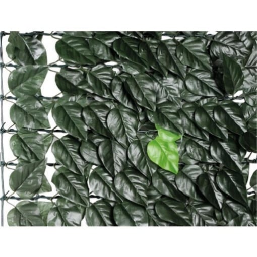 SIEPE EVERGREEN BRIXO LAURO 1X20MT