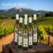 VINO BIANCO CUVÈE DE BLANC 6 BOTTIGLIE - CAMPO ORAZIO 12%VOL - 750ML