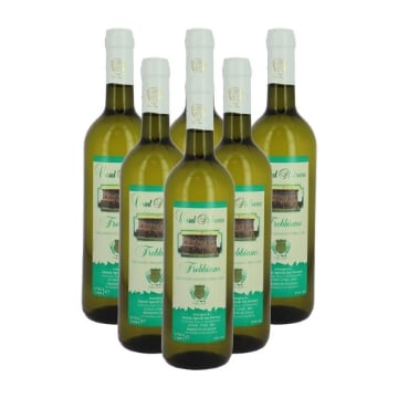 VINO BIANCO TREBBIANO 6 BOTTIGLIE - CASAL MOLINARA 11% VOL - 750ML 
