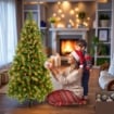 ALBERO DI NATALE MONTEMAURO 240 CM CON 1672 RAMI - VERDE ARTIFICIALE