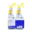ACE SPRAY SGRASSATORE CUCINA FRAGRANZA LIMONE E BERGAMOTTO - 600ML 2PZ