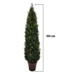 MAURY'S ALBERO DI NATALE LIVIGNO CON VASO 150H CM - 1017 RAMI