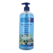 HYDRA VIVA+ SAPONE LIQUIDO MANI E VISO ESTRATTI DI FELCE E ZENZERO - 1L
