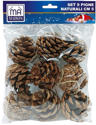 MAURY'S SET 9 PIGNE CM.5 NATURALI