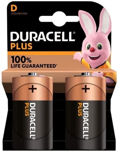 BATTERIE DURACELL TORCIA 100 D2X2PZ