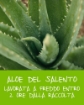 OMIA ECOBIO FISIO SHAMPOO ECOBIOLOGICO ALOE VERA DEL SALENTO IDRATANTE CAPELLI SECCHI NORMALI 0% SILICONI 200ML 