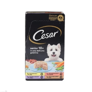 CESAR VASCHETTE IN GELATINA MULTIPACK SENIOR 10+ 4 X 150 GR