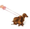 GIOCO PER CANI ORMA A FORMA DI ZAMPA  PORTAGUINZAGLI
