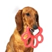 GIOCO PER CANI ORMA A FORMA DI ZAMPA  PORTAGUINZAGLI