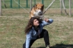BAMA TUTTO MIO MINI GIOCO PER CANI