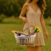 CESTINO DA PICNIC OVALE IN VIMINI CON FODERA INTERNA E MANICO DIMENSIONI 44X30X19/40H CM