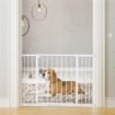 CANCELLETTO PER CANI ESTENSIBILE DA 72 A 107 CM CON MONTAGGIO A PRESSIONE 