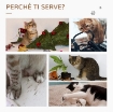TORRE PER GATTI MAX 3.6KG CON AMACA E PALLINA APPESA, IN LEGNO E PELUCHE, 50X36X70 CM, BEIGE