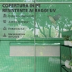 SERRA A TUNNEL CON 3 PORTE AVVOLGIBILI E 6 FINESTRELLE, IN ACCIAIO ZINCATO E PE, 6X3X2 M, VERDE