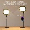 LAMPADA DA SCRIVANIA LED CON SUPPORTO PER TELEFONO, 5 COLORI DI LUCE E 10 LUMINOSITÓ, NERO