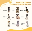 CANCELLETTO PER CANI CON 4 VITI REGOLABILI E NASTRO ADESIVO, IN METALLO E PLASTICA, 74-100X76 CM, NERO
