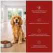 OPTIMO CROCCHETTE PER CANE CON MANZO IN FORMATO DA 4 KG