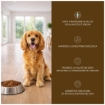 OPTIMO CROCCHETTE PER CANE CON POLLO IN FORMATO DA 10 KG