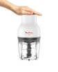 MOULINEX DJ5201 TRITATUTTO 300W TRITA,MESCOLA E SMINUZZA