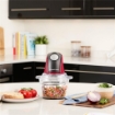 RUSSELL HOBBS 27130-56 TRITATUTTO MINI 0.50 L LAME INOX 350 W ROSSO