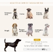 DIVANO PER CANI TAGLIA MEDIA E PICCOLA VELLUTATO CON CUSCINO, BRACCIOLI E SCHIENALE, 82X54X36 CM, GRIGIO CHIARO