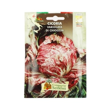 BUSTA ORTO CICORIA VARIEGATA DI GHIOGGIA